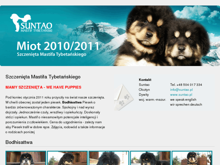 www.suntao.pl