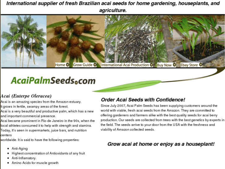 www.acaipalmseeds.com