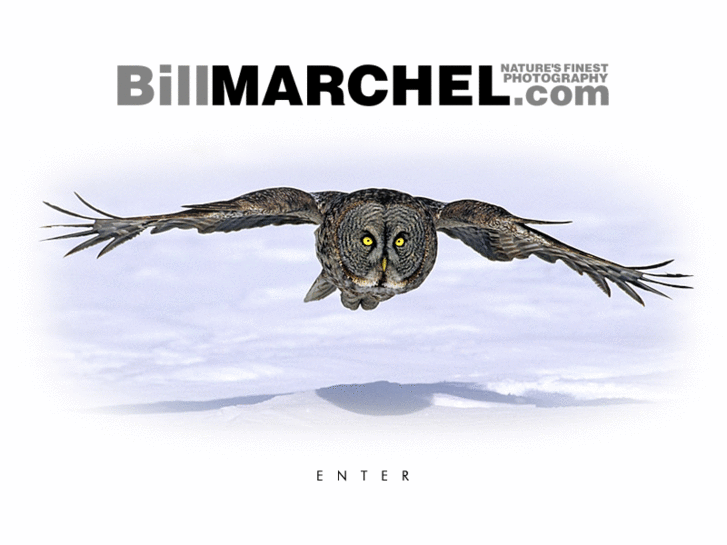 www.billmarchel.com