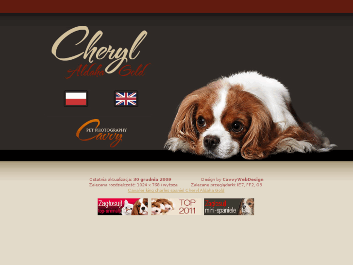 www.cheryl.pl