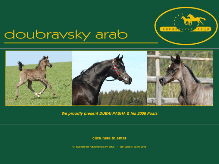 www.doubravsky-arab.com