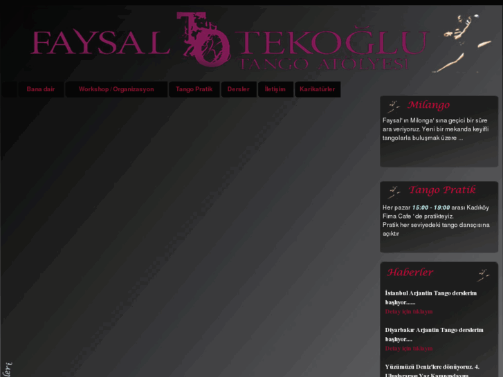 www.faysaltekoglu.com