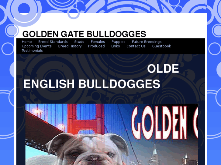 www.goldengatebulldogges.com