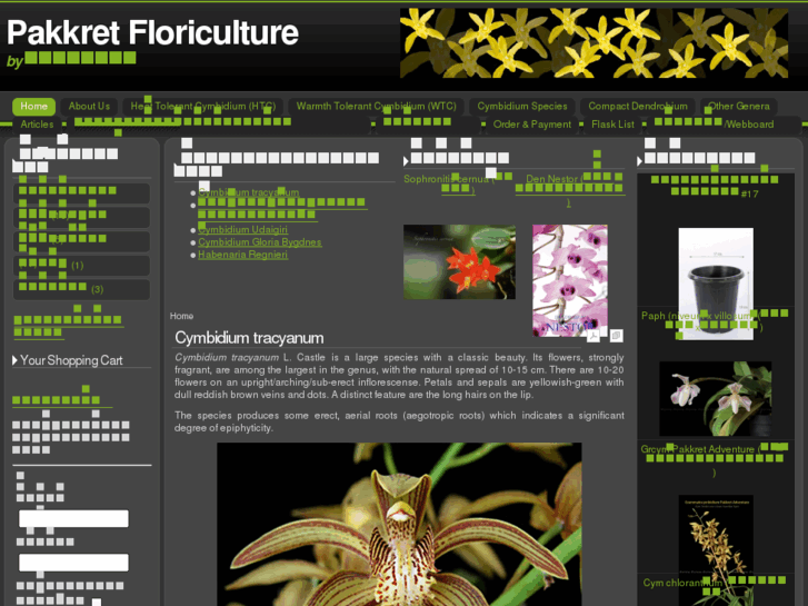 www.pakkretfloriculture.co.th