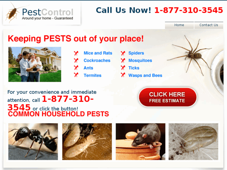 www.pestcontrolocala.com