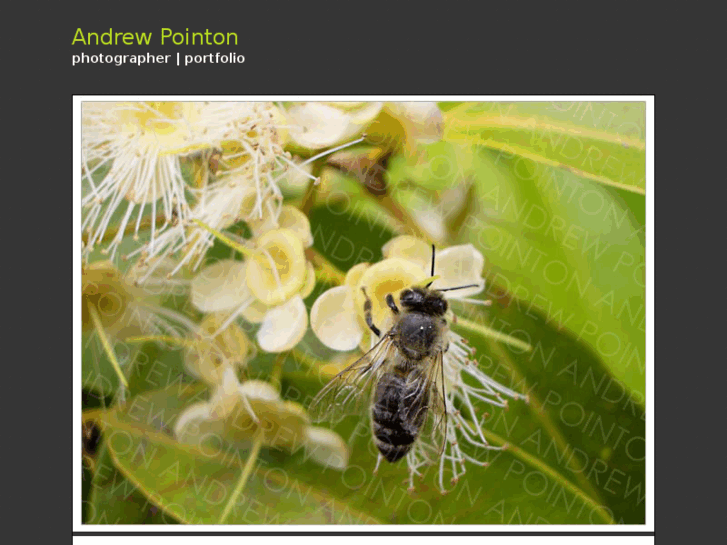 www.andrewpointonphotography.com