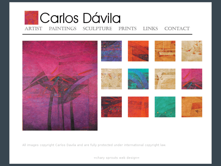 www.carlos-davila.com