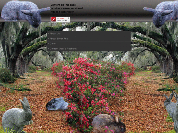 www.oserssilverfoxrabbitry.com