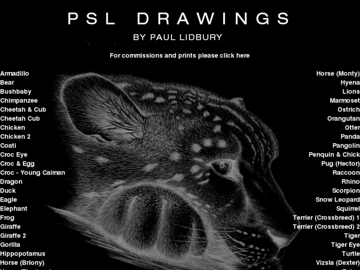 www.psl-drawings.com