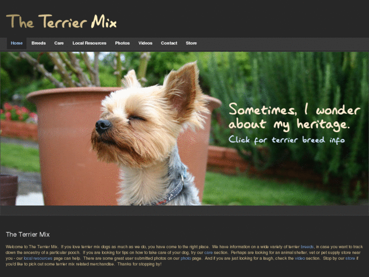 www.theterriermix.com