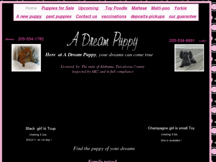 www.adreampuppy.com