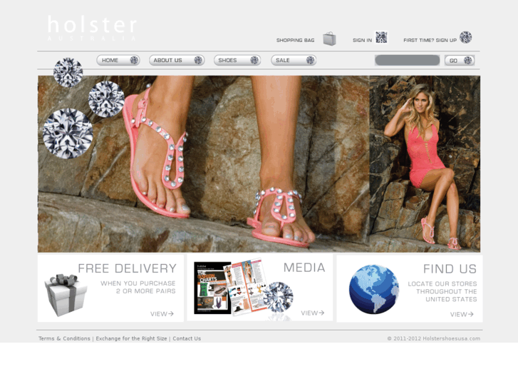 www.holstershoesusa.com