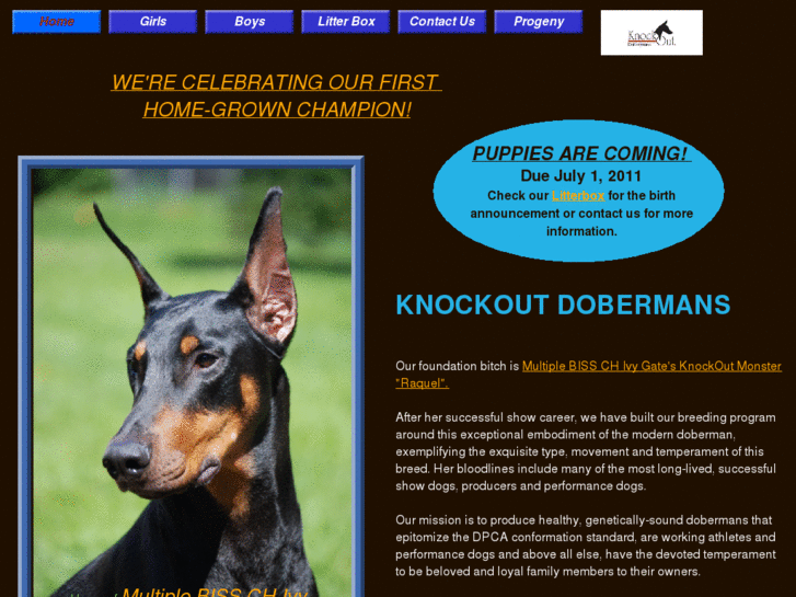 www.knockoutdobermans.com