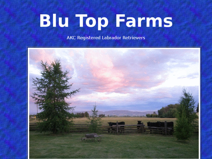 www.blutopfarms.com