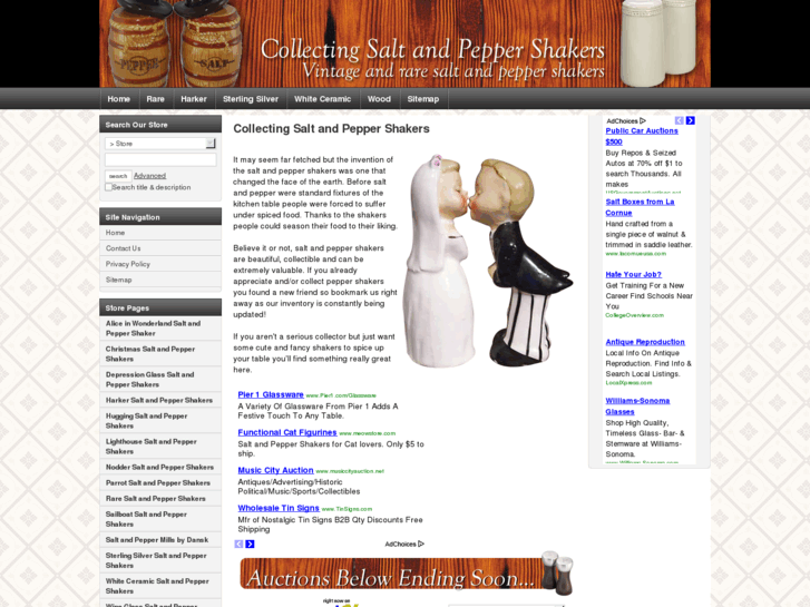 www.collectingsaltandpeppershakers.com