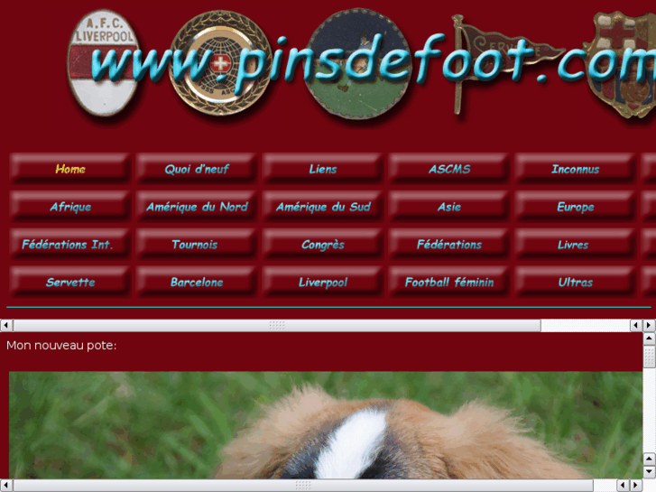 www.pinsdefoot.com