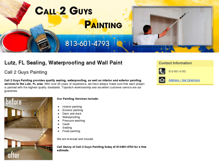 www.tampa2guyspainting.com