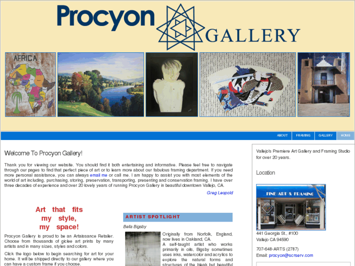 www.procyongallery.com