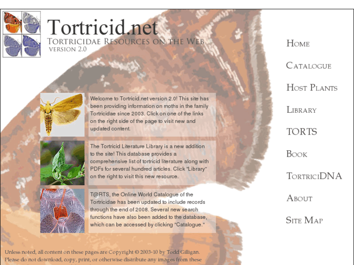 www.tortricid.net