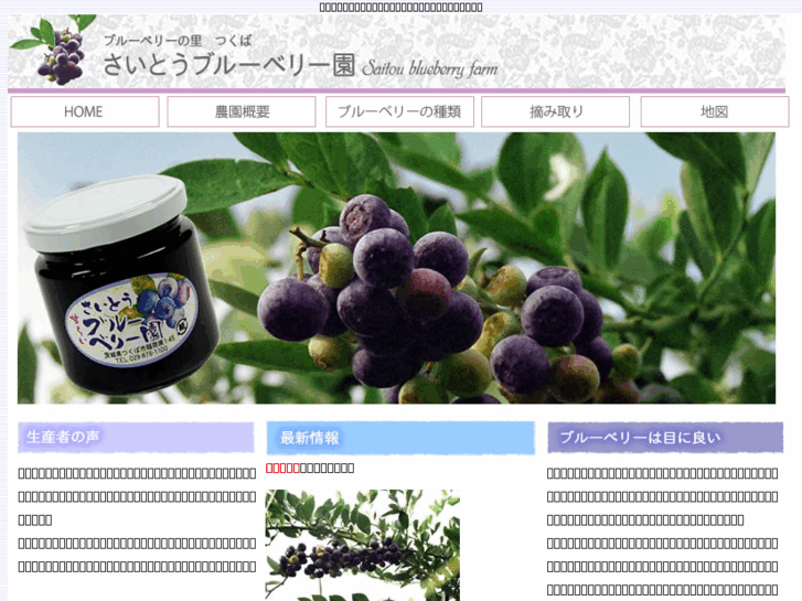 www.blueberry-farm.com