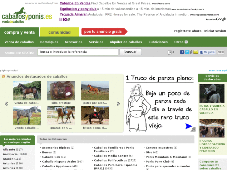 www.caballosyponis.es