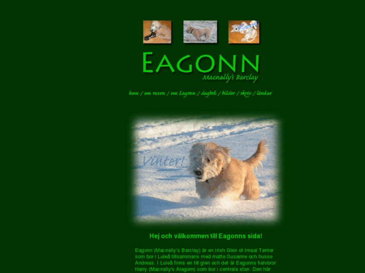 www.eagonn.com