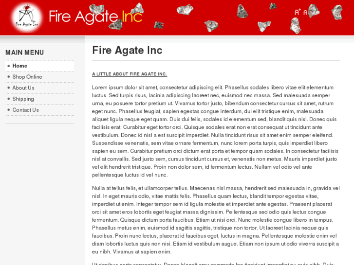 www.fireagateinc.com