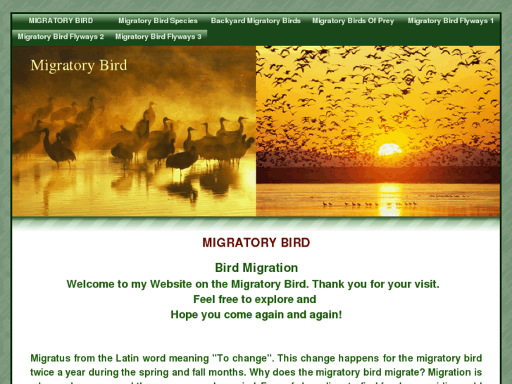 www.migratorybird.net