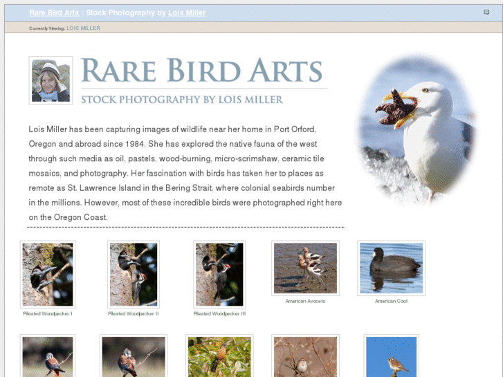 www.rarebirdarts.com