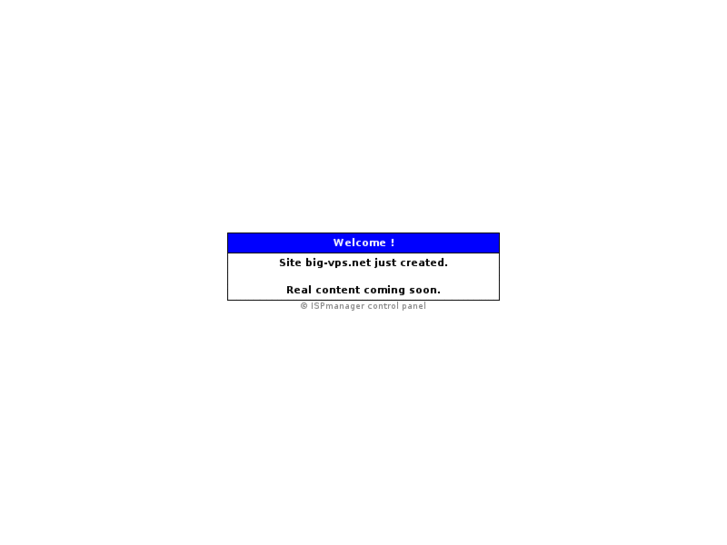 www.big-vps.net