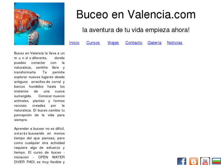 www.buceoenvalencia.com