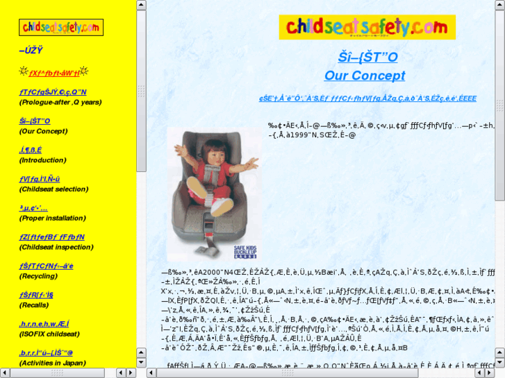 www.childseatsafety.com