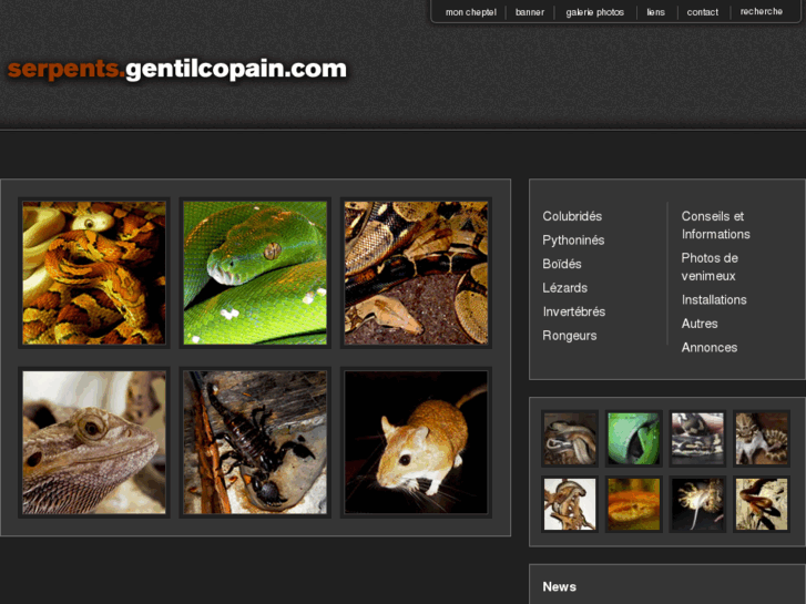 www.gentilcopain.com