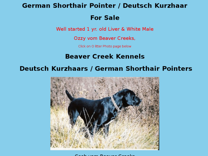 www.gspbeavercreekkennel.com