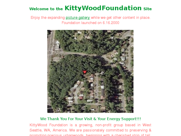 www.kittywood.net