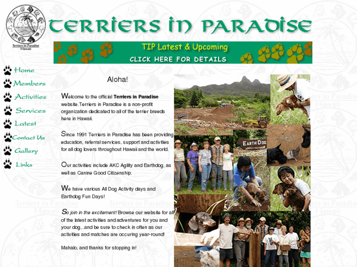 www.terriersinparadise.org