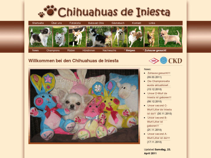 www.chihuahuas-de-iniesta.de