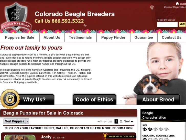 www.coloradobeaglebreeders.com