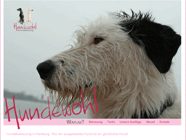 www.hundewohl.com