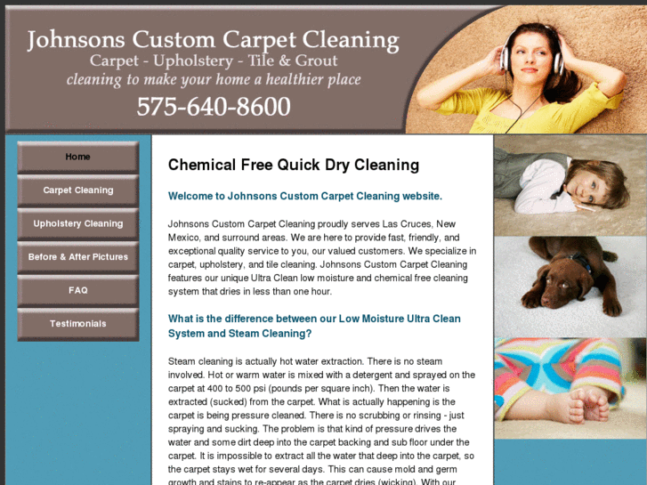 www.johnsonscustomcarpetcleaning.net