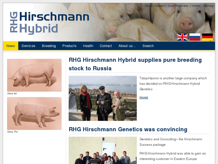 www.rhg-hybrid.com