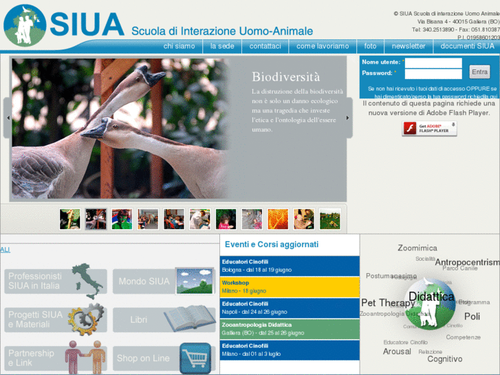 www.siua.it