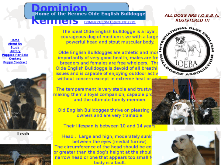 www.dominionkennels.com