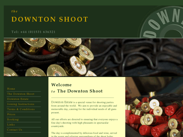 www.thedowntonshoot.com