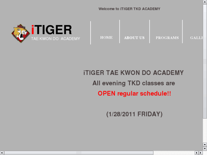 www.itiger-tkd.com