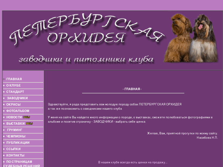 www.orhideyaspb.ru