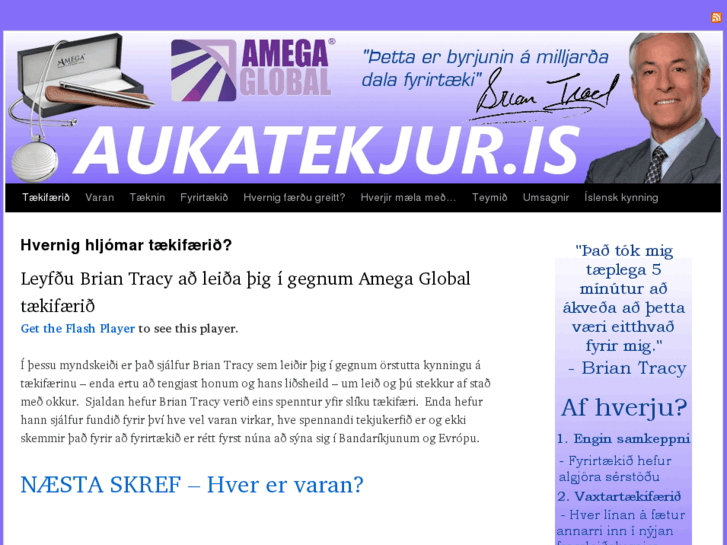 www.aukatekjur.is