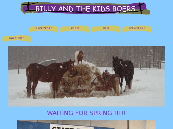 www.billyandthekidsboers.com