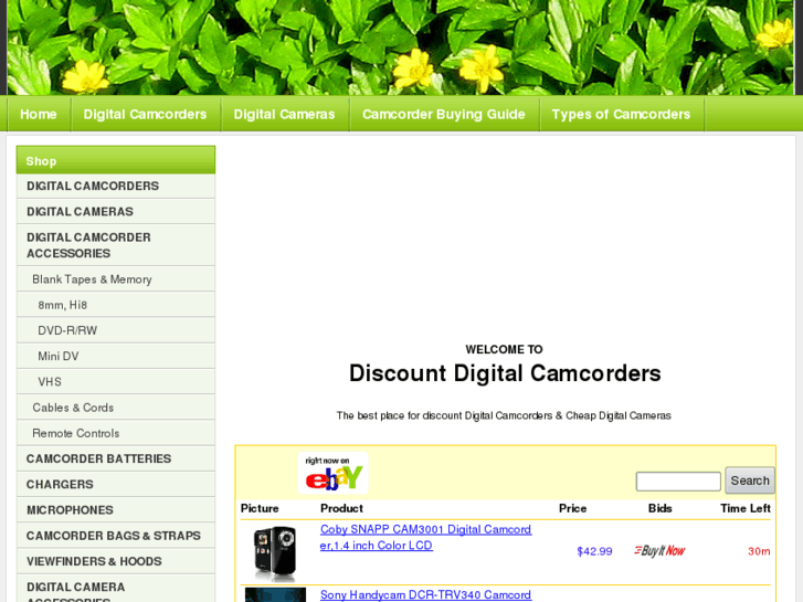 www.buydiscountdigitalcamcorders.com