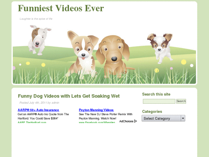 www.funniestvideosever.net